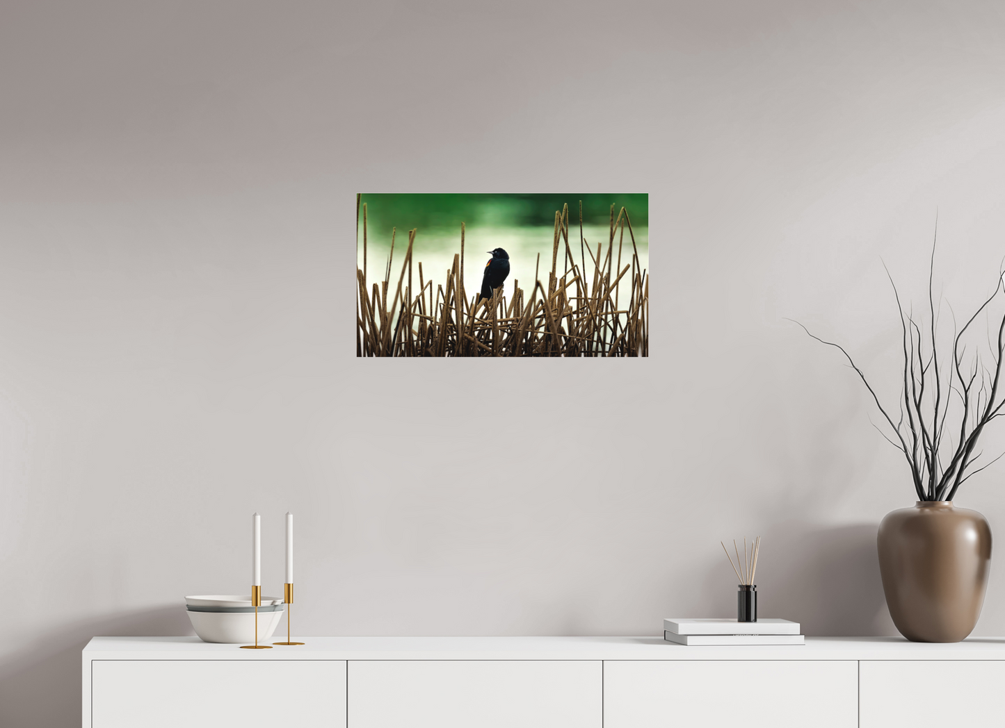 64 x 36 cm, Photo Print Under Acrylic Glass 2 mm, Matte BLACKBIRD