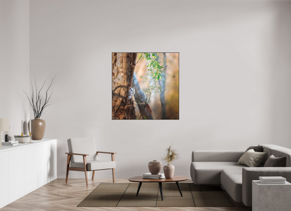 120 x 120 cm, Photo Print Under Acrylic Glass 2mm, Matte, Aluminum ArtBox, 25mm (Black) Pacific Screech | Acrylic Glass Fine Art Print