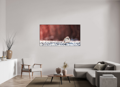171.9 x 90 cm, Photo Print Under Acrylic Glass 2mm, Matte, Aluminum ArtBox, 25mm (Black) Dove | Acrylic Glass Fine Art Print