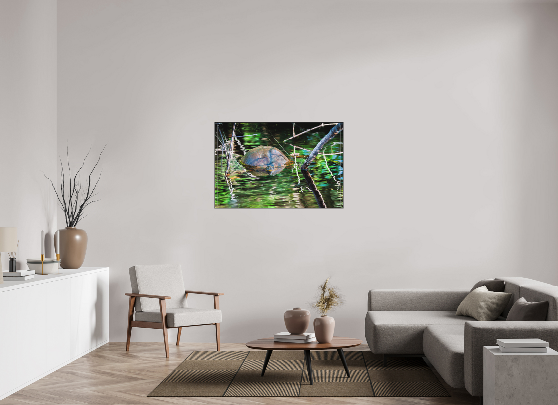 120 x 80 cm, Photo Print Under Acrylic Glass 2mm, Matte, Aluminum ArtBox, 25mm (Black) Untitled (Painted Turtle) | Acrylic Glass Fine Art Print