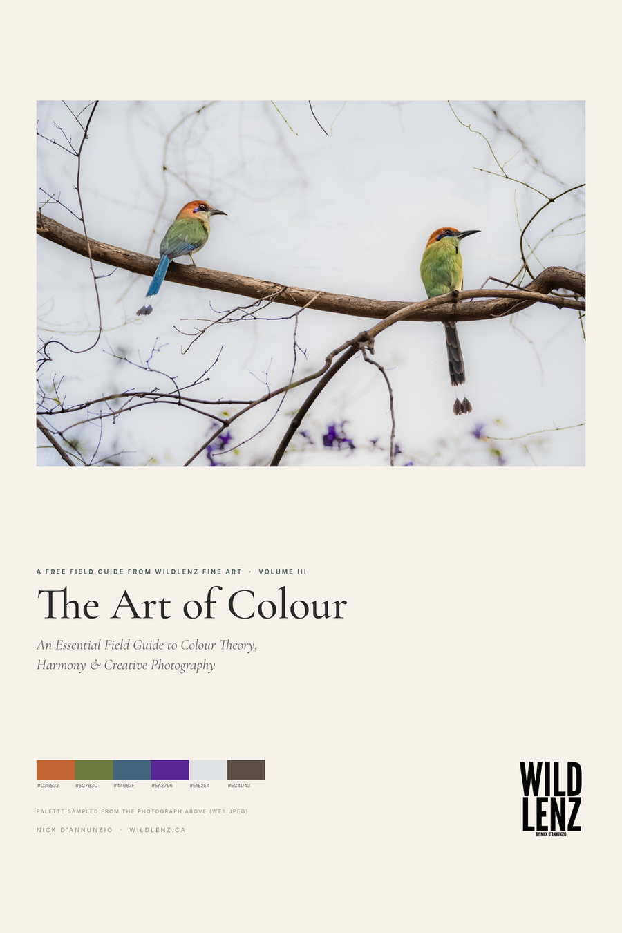 The Art of Colour Volume III official field guide cover